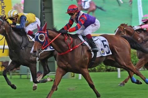 scmp racing tips|An hour until the first at Sha Tin .